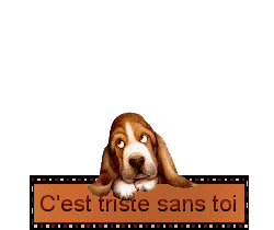 Jean-Jacques Goldman 